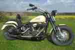 Harley Davidson Cross Bones