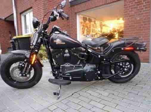 Harley Davidson Cross Bones 2009 Top Zustand