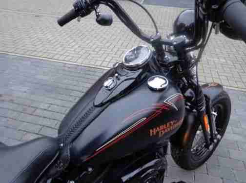 Harley Davidson Cross Bones 2009 Top Zustand