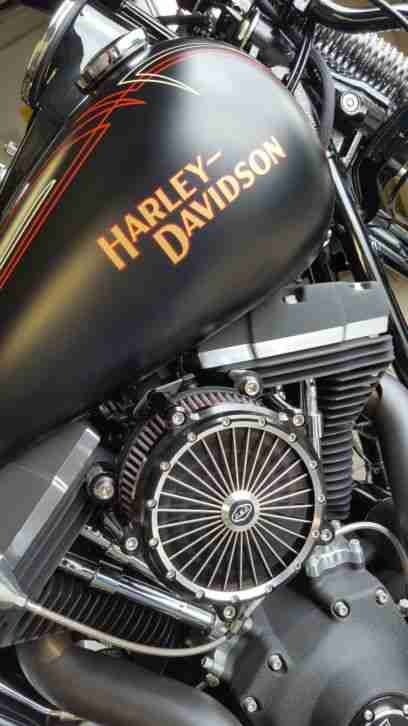 Harley Davidson Cross Bones : )