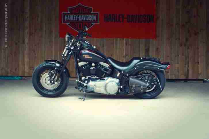 Harley Davidson Cross Bones FLSTSB Springer