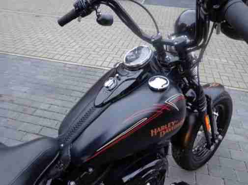 Harley Davidson Cross Bones Tuv Neu