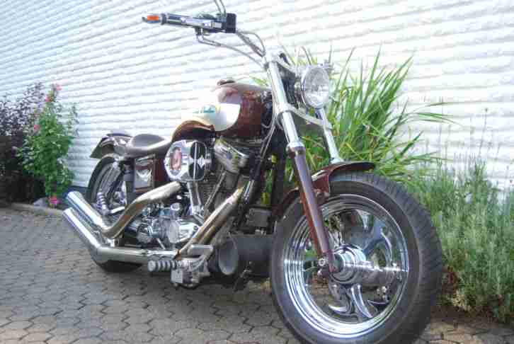 Harley Davidson Custom Bike