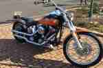 Harley Davidson Custom Bike Softail 2009 EVO