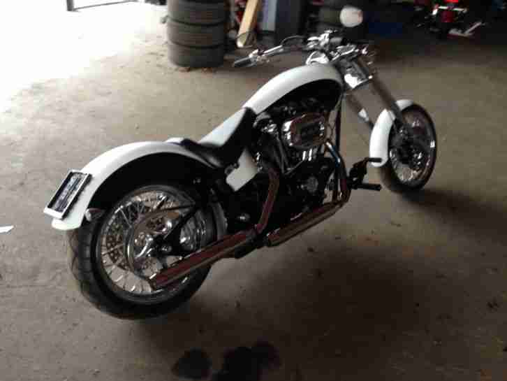 Harley Davidson Custom Bike Softail