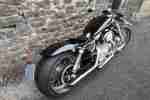 Harley Davidson Custom Bike Sportster 1200