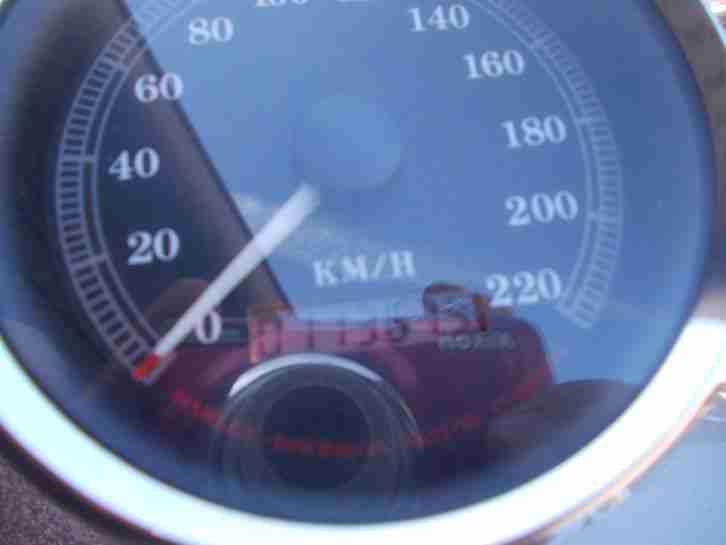 Harley Davidson Custom Sportster erst 11367 km gelaufen
