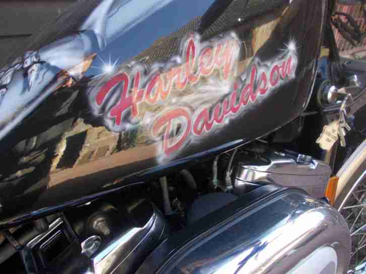 Harley Davidson Custom Sportster erst 11367