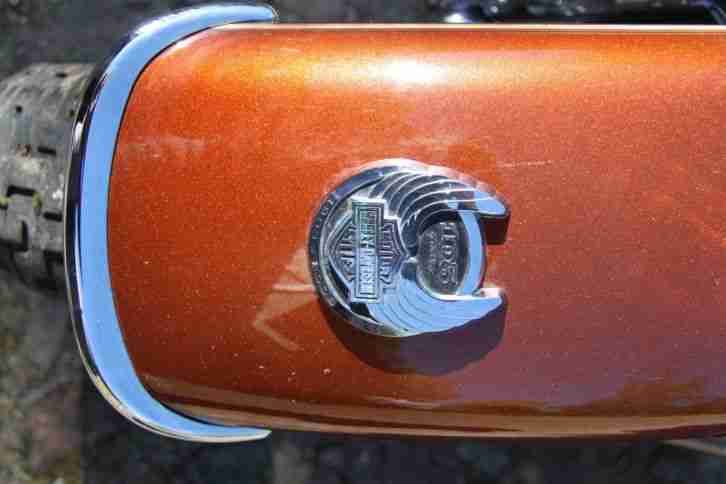 Harley Davidson FLHTCUSE