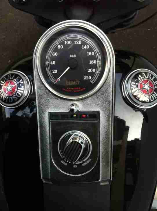 Harley Davidson FLSTF Softail
