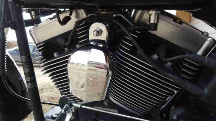 Harley Davidson FLSTFB