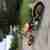 Harley Davidson FXE