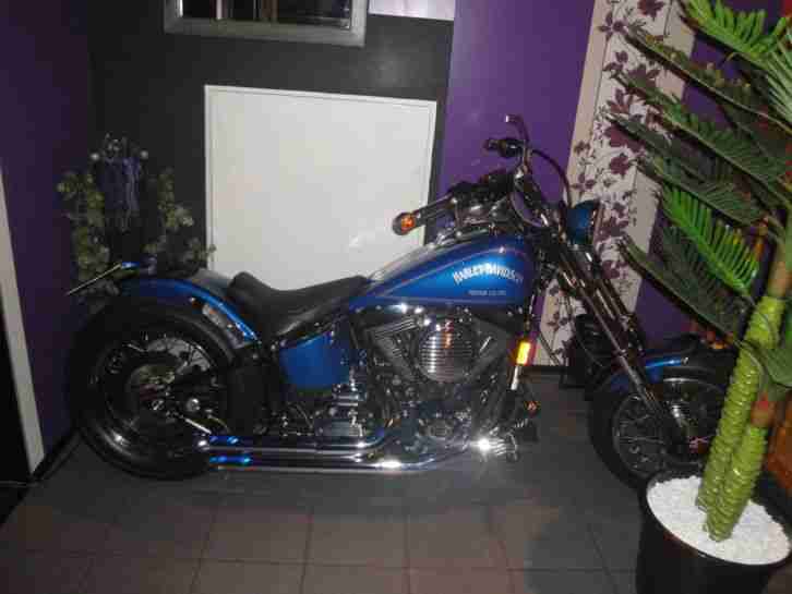 Harley Davidson FXST Softail Custom EVO