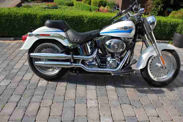 Harley Davidson Fat