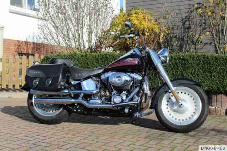 Harley Davidson Fat Boy / 6100 KM / TÜV NEU / Bingo-Bikes