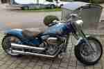 Harley Davidson Fat Boy Custom