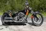 Harley Davidson Fat Boy Custom Bike