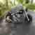 Harley Davidson Fat