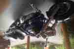 Harley Davidson Fat Boy neuwertig Bj. 2009