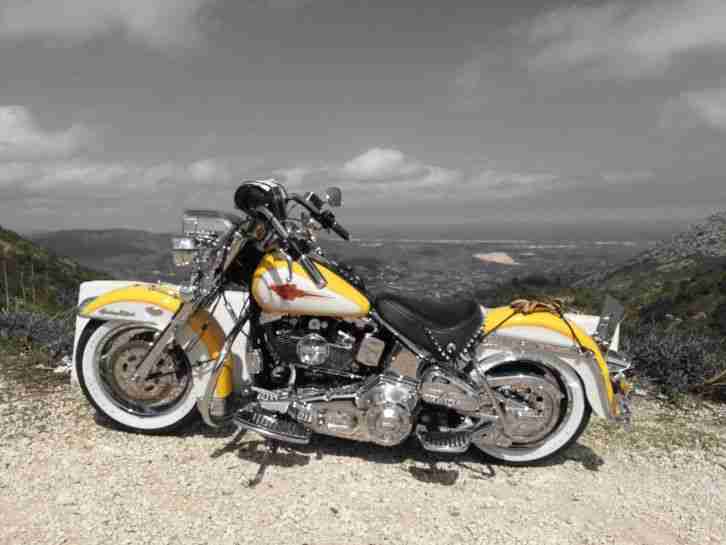 Harley Davidson Heritage 95 ein Taum von