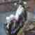 Harley Davidson Modell