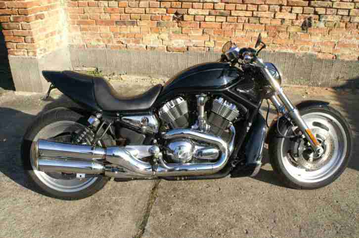 Harley Davidson NIGHT ROD