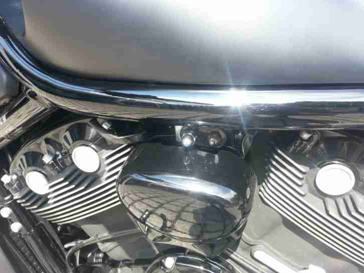 Harley Davidson Night