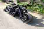 Harley Davidson Night Rod V Special MS Bull