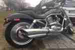 Harley Davidson Night Rod v Rod Orginal