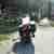 Harley Davidson Road