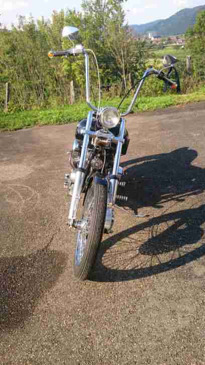 Harley Davidson Shovelhead FLH