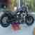 Harley Davidson Softail