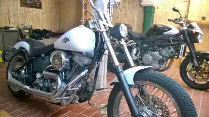 Harley Davidson Softail Custom