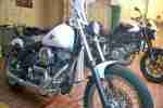 Harley Davidson Softail Custom