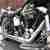 Harley Davidson Softail