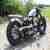 Harley Davidson Softail