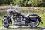 Harley Davidson Softail EVO im perfekten