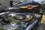 Harley Davidson Softail FLSTFI Fat Boy 15th