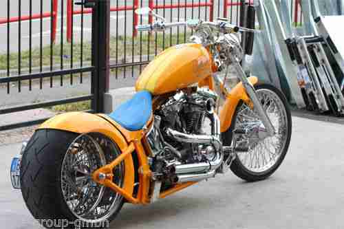 Harley Davidson Softail ST 1450 JIMMY THE CAT