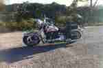 Harley Davidson Softail Springer NOTVERKAUF,