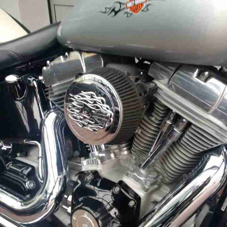 Harley Davidson Softail Standart rares