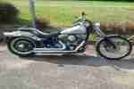 Harley Davidson Softail Standart rares