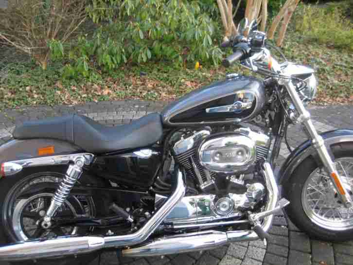 Harley Davidson Sportster 1200 Custom 1. Hand