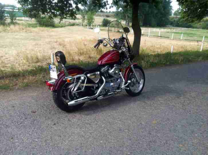 Harley Davidson Sportster 1200 Custom aus