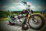 Harley Davidson Sportster 1200 Frisco Style