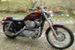 Harley Davidson Sportster 883 XL1 Custom