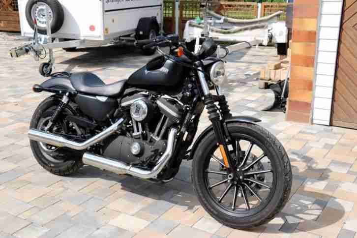 Harley Davidson Sportster Iron 1200