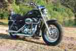 Harley Davidson Sportster, XL1200C Bj 2013