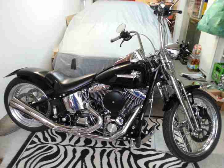 Harley Davidson Springer