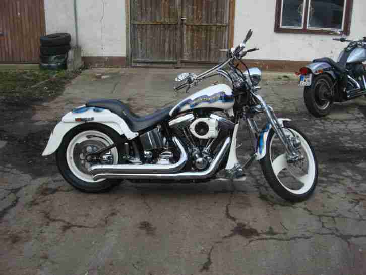 Harley Davidson Springer Softail 1995 Tribute